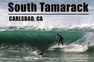 Your Tamarack Surf Report: Conditions & Safety Tips Learn to Surf & Skate: A Beginner's Step-by-Step Guide Your Tamarack Surf Report: Conditions & Safety Tips | Learn to Surf & Skate: A Beginner's Step-by-Step Guide