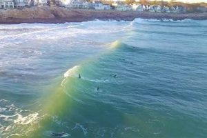Higgins Beach Surf Cam: See Live Maine Waves Now! Learn to Surf & Skate: A Beginner's Step-by-Step Guide Higgins Beach Surf Cam: See Live Maine Waves Now! | Learn to Surf & Skate: A Beginner's Step-by-Step Guide