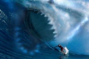 Surfer vs. Shark: Epic Wave Picture Moments Learn to Surf & Skate: A Beginner's Step-by-Step Guide Surfer vs. Shark: Epic Wave Picture Moments | Learn to Surf & Skate: A Beginner's Step-by-Step Guide