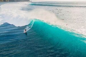 Your Bali Surf Hotel: Epic Waves & Stay Awaits! Learn to Surf & Skate: A Beginner's Step-by-Step Guide Your Bali Surf Hotel: Epic Waves & Stay Awaits! | Learn to Surf & Skate: A Beginner's Step-by-Step Guide