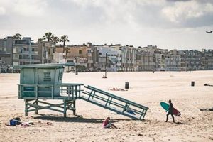 Venice Beach Surf Stats: Your Guide to Perfect Waves | Learn to Surf & Skate: A Beginner's Step-by-Step Guide