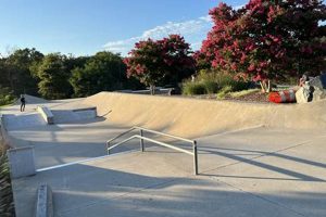 Laurel Skate Park: Your Skateboarding Destination! Learn to Surf & Skate: A Beginner's Step-by-Step Guide Laurel Skate Park: Your Skateboarding Destination! | Learn to Surf & Skate: A Beginner's Step-by-Step Guide