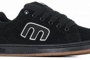 Best Etnies Skate Shoes: Styles & Reviews [Year] | Learn to Surf & Skate: A Beginner's Step-by-Step Guide