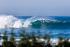 Your Sunset Cliffs Surf Report: Waves & Tides Today Learn to Surf & Skate: A Beginner's Step-by-Step Guide Your Sunset Cliffs Surf Report: Waves & Tides Today | Learn to Surf & Skate: A Beginner's Step-by-Step Guide