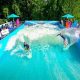 Find Wave Pool Surfing Near Me: Your Local Wave Guide | Learn to Surf & Skate: A Beginner's Step-by-Step Guide