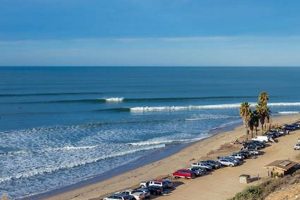 San Onofre Surf: State Beach Wave Report + Forecast | Learn to Surf & Skate: A Beginner's Step-by-Step Guide
