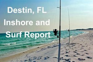 Destin, FL Surf Report: Waves & Beach Conditions Now Learn to Surf & Skate: A Beginner's Step-by-Step Guide Destin, FL Surf Report: Waves & Beach Conditions Now | Learn to Surf & Skate: A Beginner's Step-by-Step Guide