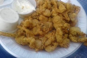 George's Surf & Turf Mendon: Your Best Surf & Turf! | Learn to Surf & Skate: A Beginner's Step-by-Step Guide