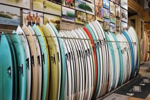 Your Guide to Clairmont Surf Shop | Gear & More Learn to Surf & Skate: A Beginner's Step-by-Step Guide Your Guide to Clairmont Surf Shop | Gear & More | Learn to Surf & Skate: A Beginner's Step-by-Step Guide