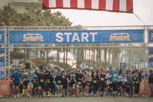 Surf City Marathon Results: Find Your Time & More! Learn to Surf & Skate: A Beginner's Step-by-Step Guide Surf City Marathon Results: Find Your Time & More! | Learn to Surf & Skate: A Beginner's Step-by-Step Guide