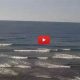 Watch Terramar Surf Cam: Live Beach & Wave Views | Learn to Surf & Skate: A Beginner's Step-by-Step Guide