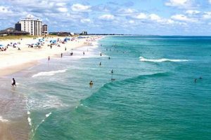 Your Guide: Surf Shops in Wrightsville Beach, NC Today! | Learn to Surf & Skate: A Beginner's Step-by-Step Guide