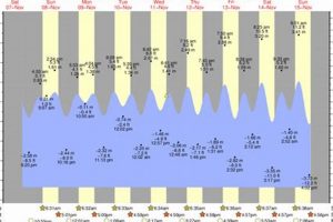 Pismo Beach Surf: Your Accurate Wave Forecast Now! | Learn to Surf & Skate: A Beginner's Step-by-Step Guide