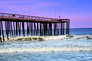 Your Guide to Ocean City Surf Fishing Spots & Tips | Learn to Surf & Skate: A Beginner's Step-by-Step Guide