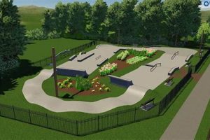 Your Guide to Skate Parks in Cherry Hill, NJ - [Year] | Learn to Surf & Skate: A Beginner's Step-by-Step Guide