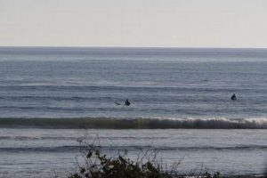 Mondos Surf Report: Check Live Conditions + Forecasts | Learn to Surf & Skate: A Beginner's Step-by-Step Guide