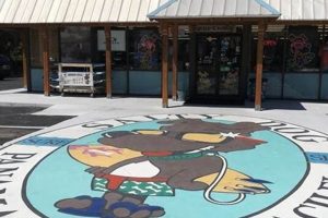 Salty Dog Surf Shop: Your [Location] Surf Gear! | Learn to Surf & Skate: A Beginner's Step-by-Step Guide