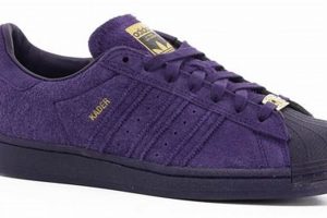 Rad Purple Skate Shoes: Style & Performance Kicks! Learn to Surf & Skate: A Beginner's Step-by-Step Guide Rad Purple Skate Shoes: Style & Performance Kicks! | Learn to Surf & Skate: A Beginner's Step-by-Step Guide