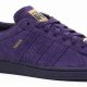 Rad Purple Skate Shoes: Style & Performance Kicks! | Learn to Surf & Skate: A Beginner's Step-by-Step Guide