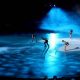 Watch the Skate on Ice Show: [City/Theme] Spectacle! | Learn to Surf & Skate: A Beginner's Step-by-Step Guide