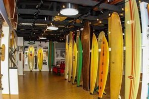 Visit International Surfing Museum Huntington Beach CA Guide Learn to Surf & Skate: A Beginner's Step-by-Step Guide Visit International Surfing Museum Huntington Beach CA Guide | Learn to Surf & Skate: A Beginner's Step-by-Step Guide