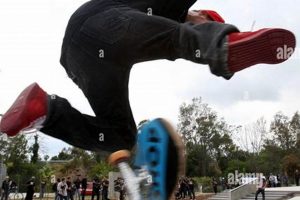 Explore: Rob Dyrdek Skate Park + Design Tips Learn to Surf & Skate: A Beginner's Step-by-Step Guide Explore: Rob Dyrdek Skate Park + Design Tips | Learn to Surf & Skate: A Beginner's Step-by-Step Guide