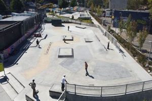 Seattle Skate Park: Find Best Parks + Tips! | Learn to Surf & Skate: A Beginner's Step-by-Step Guide