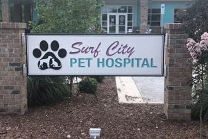 Surf City Pet Hospital: Your Coastal Animal Care! | Learn to Surf & Skate: A Beginner's Step-by-Step Guide