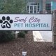 Surf City Pet Hospital: Your Coastal Animal Care! | Learn to Surf & Skate: A Beginner's Step-by-Step Guide