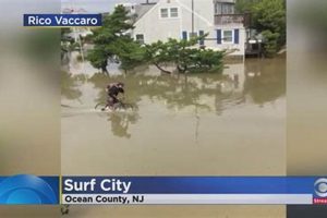 Surf City Weather: Your Surf Forecast Now! | Learn to Surf & Skate: A Beginner's Step-by-Step Guide