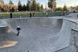 Visit: Phil Shao Memorial Skate Park | Skateboarding Fun | Learn to Surf & Skate: A Beginner's Step-by-Step Guide