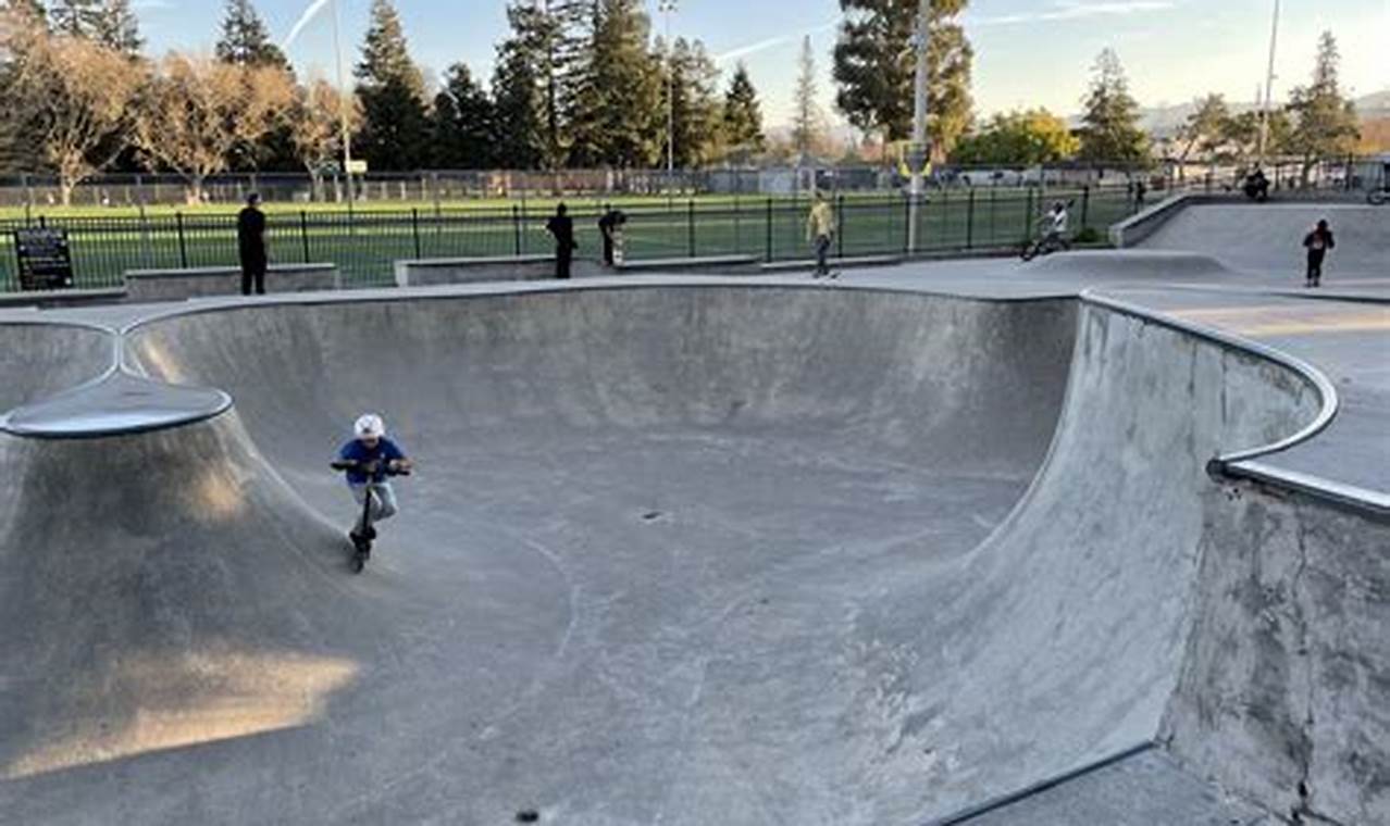 Visit: Phil Shao Memorial Skate Park | Skateboarding Fun | Learn to Surf & Skate: A Beginner's Step-by-Step Guide