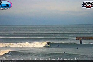 Galveston Island Surf Cam: See Beach Conditions Live Now! Learn to Surf & Skate: A Beginner's Step-by-Step Guide Galveston Island Surf Cam: See Beach Conditions Live Now! | Learn to Surf & Skate: A Beginner's Step-by-Step Guide