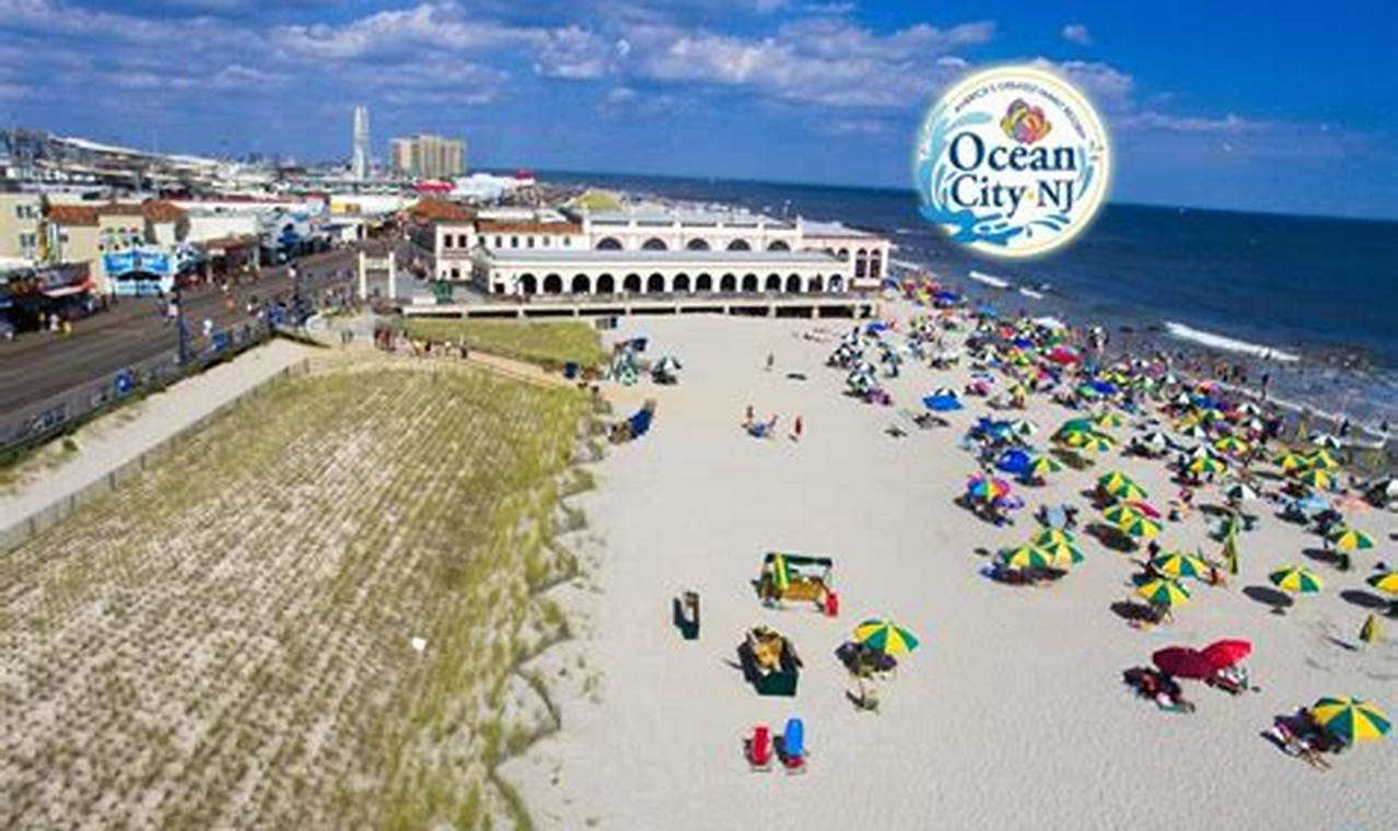 Ocean City Surfing: Your NJ Surf Supply Headquarters | Learn to Surf & Skate: A Beginner's Step-by-Step Guide