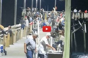 Watch Surf City Pier Cam South Live! Beach View | Learn to Surf & Skate: A Beginner's Step-by-Step Guide