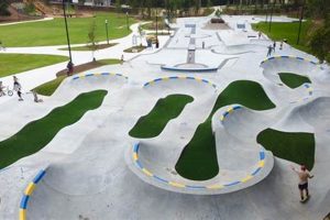 Skate Parks In Atlanta Ga | Learn to Surf & Skate: A Beginner's Step-by-Step Guide
