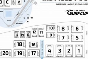 Del Mar CA Surf Report: The Ultimate Guide & Forecasts | Learn to Surf & Skate: A Beginner's Step-by-Step Guide