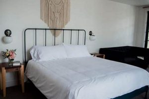 Find Ideal Surf Hotel Rooms: Your Surf Trip Awaits! | Learn to Surf & Skate: A Beginner's Step-by-Step Guide