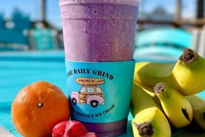 Life in Surf City: The Daily Grind & Coastal Bliss | Learn to Surf & Skate: A Beginner's Step-by-Step Guide