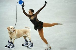 Tips for Blind Ice Skaters: Gliding with Confidence | Learn to Surf & Skate: A Beginner's Step-by-Step Guide