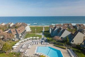 Your Guide to Surf Club Montauk Scene & Activities Learn to Surf & Skate: A Beginner's Step-by-Step Guide Your Guide to Surf Club Montauk Scene & Activities | Learn to Surf & Skate: A Beginner's Step-by-Step Guide