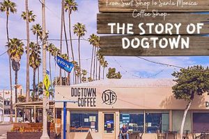 Your Guide: Best Surf Shop Santa Monica for Waves! | Learn to Surf & Skate: A Beginner's Step-by-Step Guide