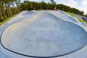 Your Guide to Surf City Skatepark: Fun & Tricks | Learn to Surf & Skate: A Beginner's Step-by-Step Guide