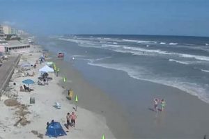 Destin Surf Cam: Live Beach Views & Wave Conditions Now! Learn to Surf & Skate: A Beginner's Step-by-Step Guide Destin Surf Cam: Live Beach Views & Wave Conditions Now! | Learn to Surf & Skate: A Beginner's Step-by-Step Guide