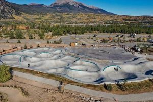 Frisco Skate Park Guide: Thrills & Tips for Locals! Learn to Surf & Skate: A Beginner's Step-by-Step Guide Frisco Skate Park Guide: Thrills & Tips for Locals! | Learn to Surf & Skate: A Beginner's Step-by-Step Guide