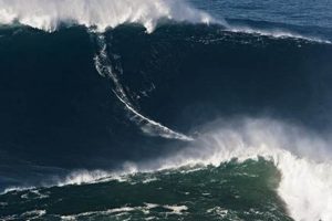 Record: Largest Wave Ever Surfed + How It's Measured | Learn to Surf & Skate: A Beginner's Step-by-Step Guide