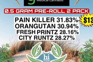 Your Surf City Dispensary Guide: Deals & Info | Learn to Surf & Skate: A Beginner's Step-by-Step Guide