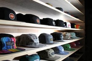 Find Your Premier Skate Shop: [Location/Benefit] Gear &amp; More | Learn to Surf & Skate: A Beginner's Step-by-Step Guide