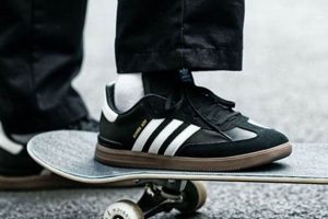 Rock Skate Shoes Style: Trends & Tips [Guide] | Learn to Surf & Skate: A Beginner's Step-by-Step Guide