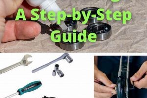Easy How to Clean Roller Skate Bearings: Pro Tips! | Learn to Surf & Skate: A Beginner's Step-by-Step Guide